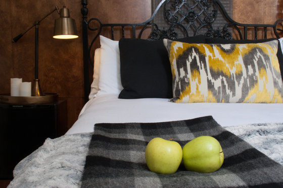 Made Inn Vermont An Urban-Chic Boutique Bed And Breakfast Burlington Phòng bức ảnh